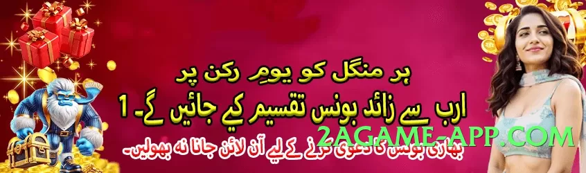 winpkr Lite v5.0.6 Screenshot 3